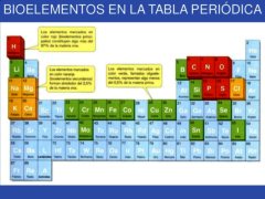 Tabla periódica de los bioelementos
