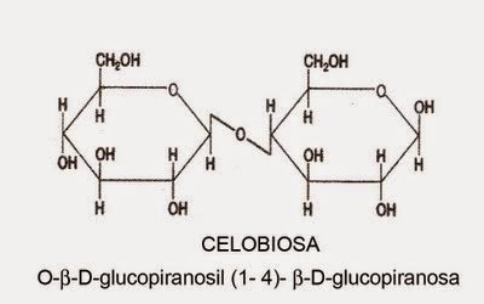 estructura de la celobiosa